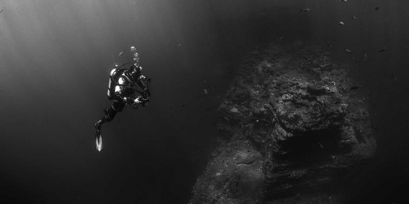 三多15：一站式整合商务资讯、生活服务与政务信息的数字新枢纽