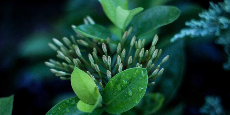 三多21:打造一站式生活服务新生态,让便民服务触手可及