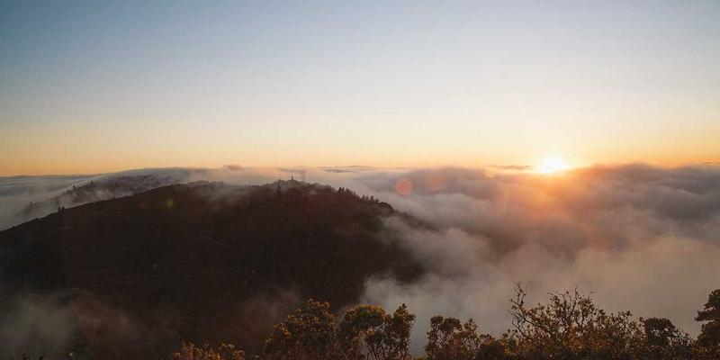 三多24：商务资讯与政务信息的智能枢纽，赋能高效决策与区域发展