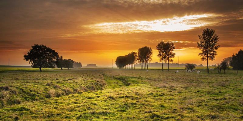 三多41：一站式综合信息与便民生活服务平台，让生活更简单