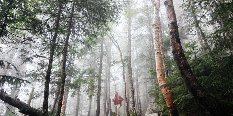 三多43:打造商务资讯与便民服务融合新生态