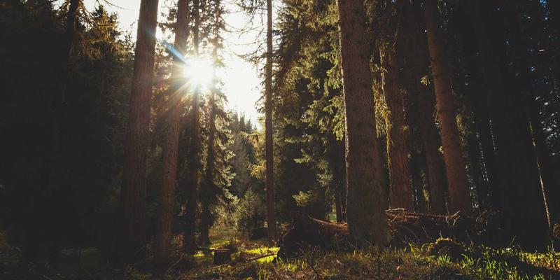 三多48:一站式便民服务平台的创新实践与社区价值