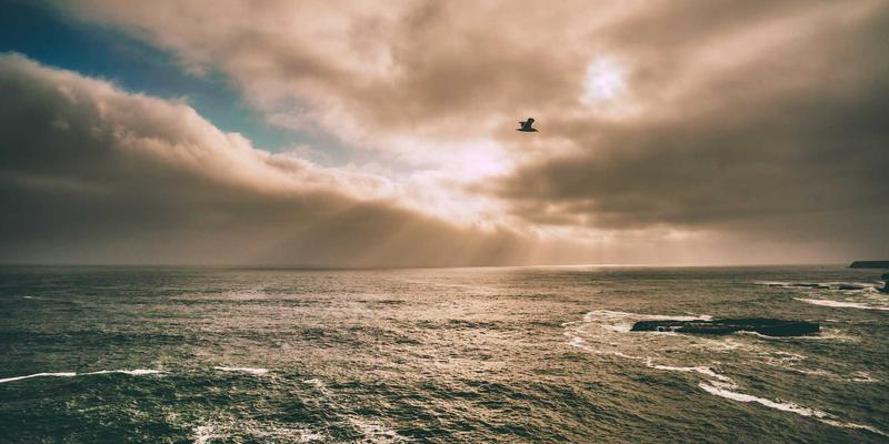 三多案例分析:生活服务与政务信息的深度融合与创新实践