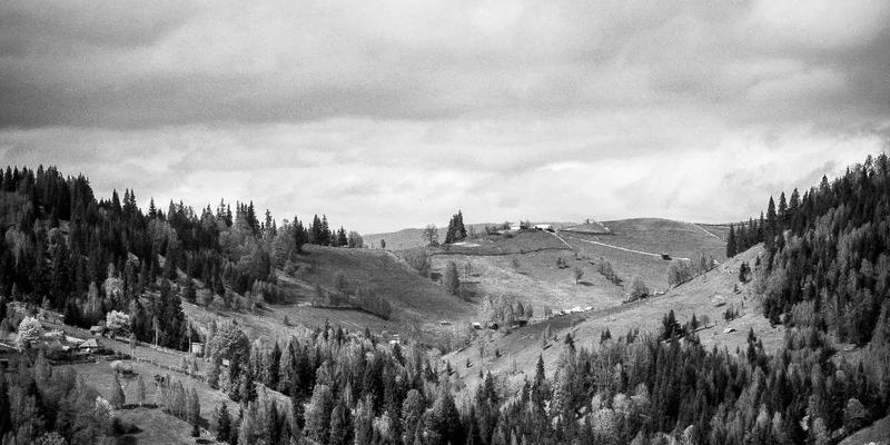 三多趋势：便民服务与政务信息融合发展的新范式