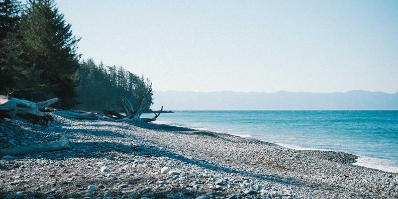 三多路径培育乡村特色产业：新农人如何通过多考察、多融合、多推广实现产业增值