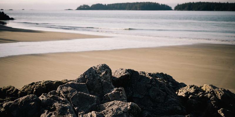 从“三多”视角出发：构建可持续社区的环境信息与生活服务融合之道