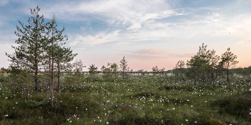 便民服务、三多与商务资讯：数字化转型中的多维价值对比分析