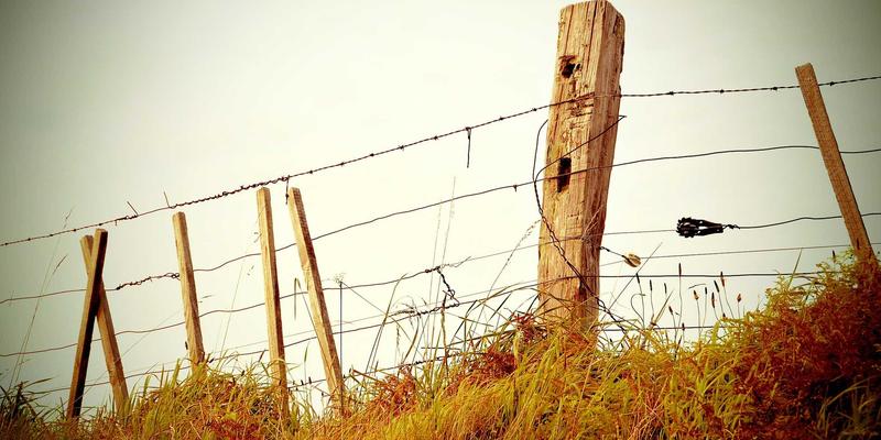 全面解析“三多6”:综合信息与商务资讯的核心价值