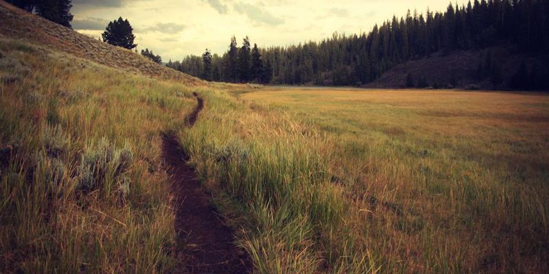 商务资讯与生活服务中的三多精神：工匠精神的现代诠释与实践路径