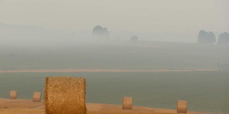 政务信息与便民服务中的三多精神：当代工匠精神的深度对比与融合