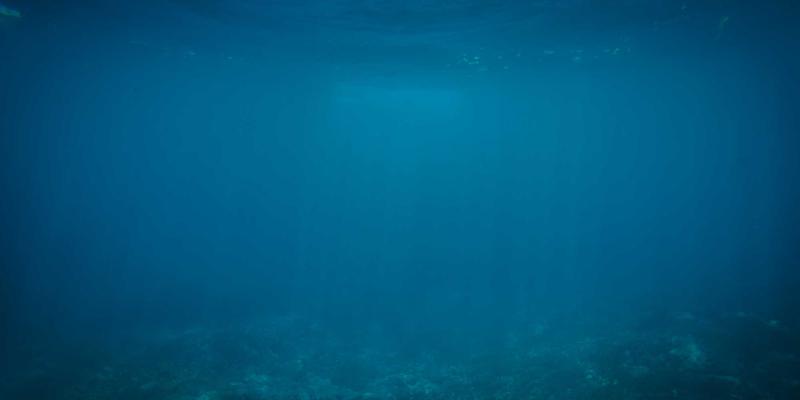 教育领域的“三多”实践：如何通过商务资讯、生活服务与政务信息推动个性化学习与教学相长